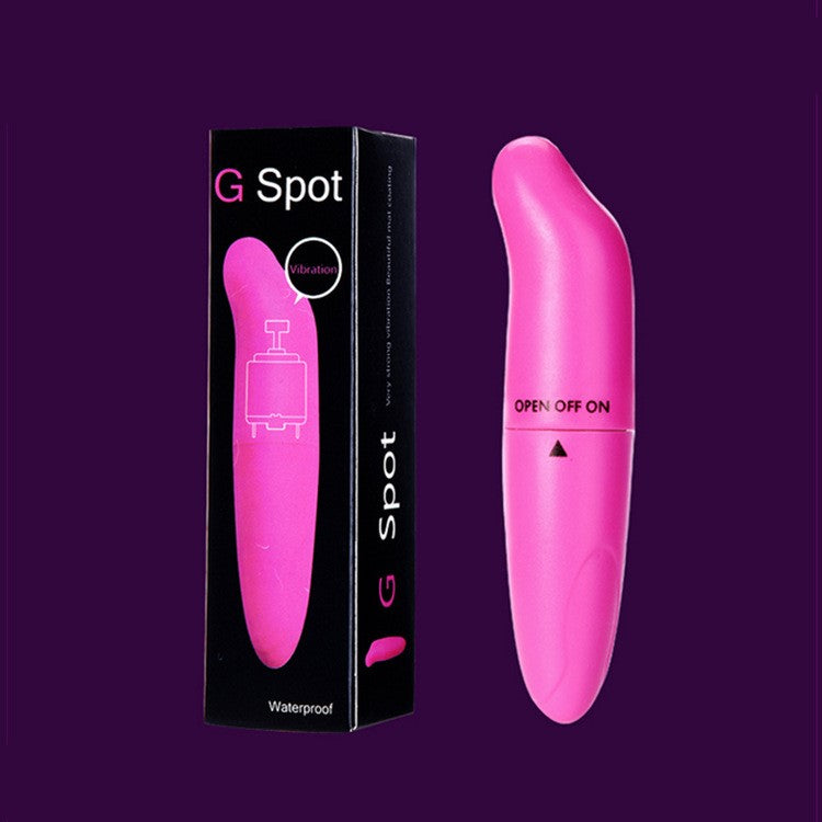 Dolphin Mini G-Spot Vibrator – Whisper-Quiet Massage Wand for Women