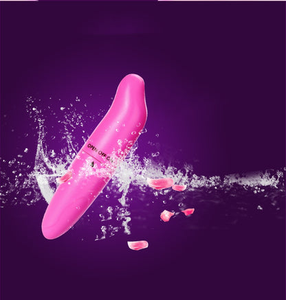 Dolphin Mini G-Spot Vibrator – Whisper-Quiet Massage Wand for Women