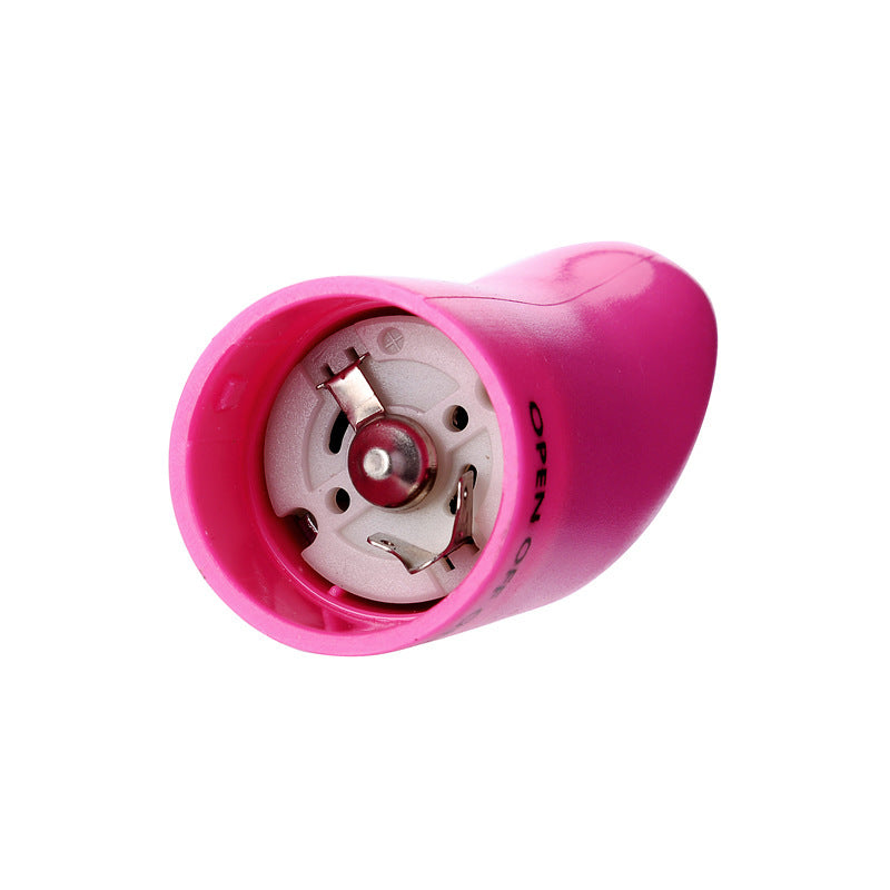 Dolphin Mini G-Spot Vibrator – Whisper-Quiet Massage Wand for Women