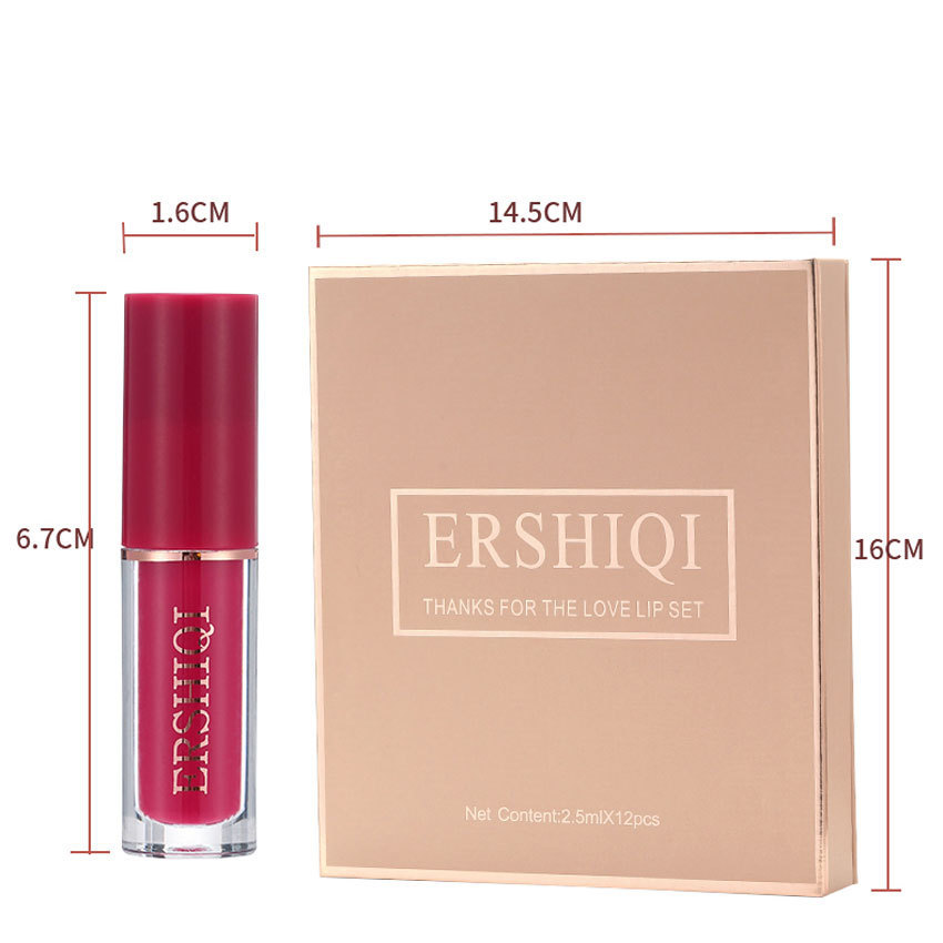 12-Piece Luxury Lipstick Gift Set – Velvet Matte & Glossy Shades, Kiss-Proof Formula