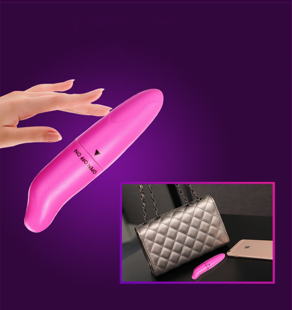 Dolphin Mini G-Spot Vibrator – Whisper-Quiet Massage Wand for Women