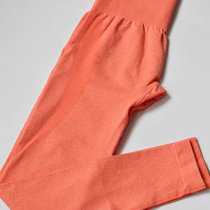 Women’s High Waist Yoga Pants – Elastic Nylon Fitness Leggings, 7 Colours, S–L